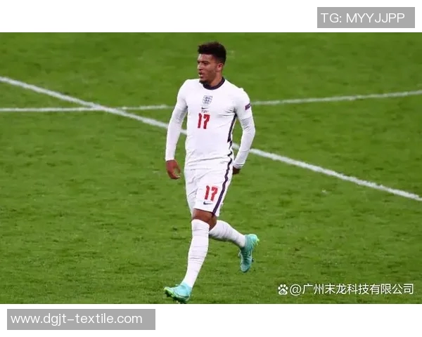 桑乔：从天才少年到足球巨星的奋斗历程与未来展望