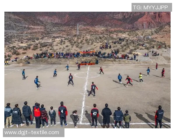 从贫民窟到绿茵场足球明星的奋斗与荣耀之路